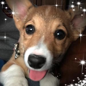 Meet your Posher, Kirsten